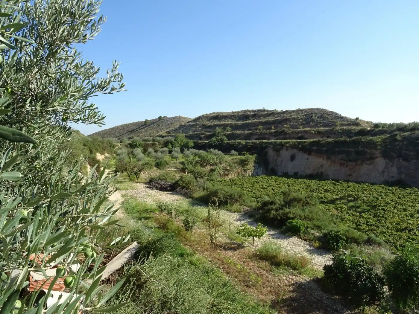 Casa o xalet en venda a Pedanías Este