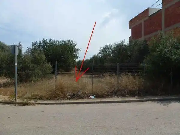 Lands and plots for sale in Alcàsser, imagen 4