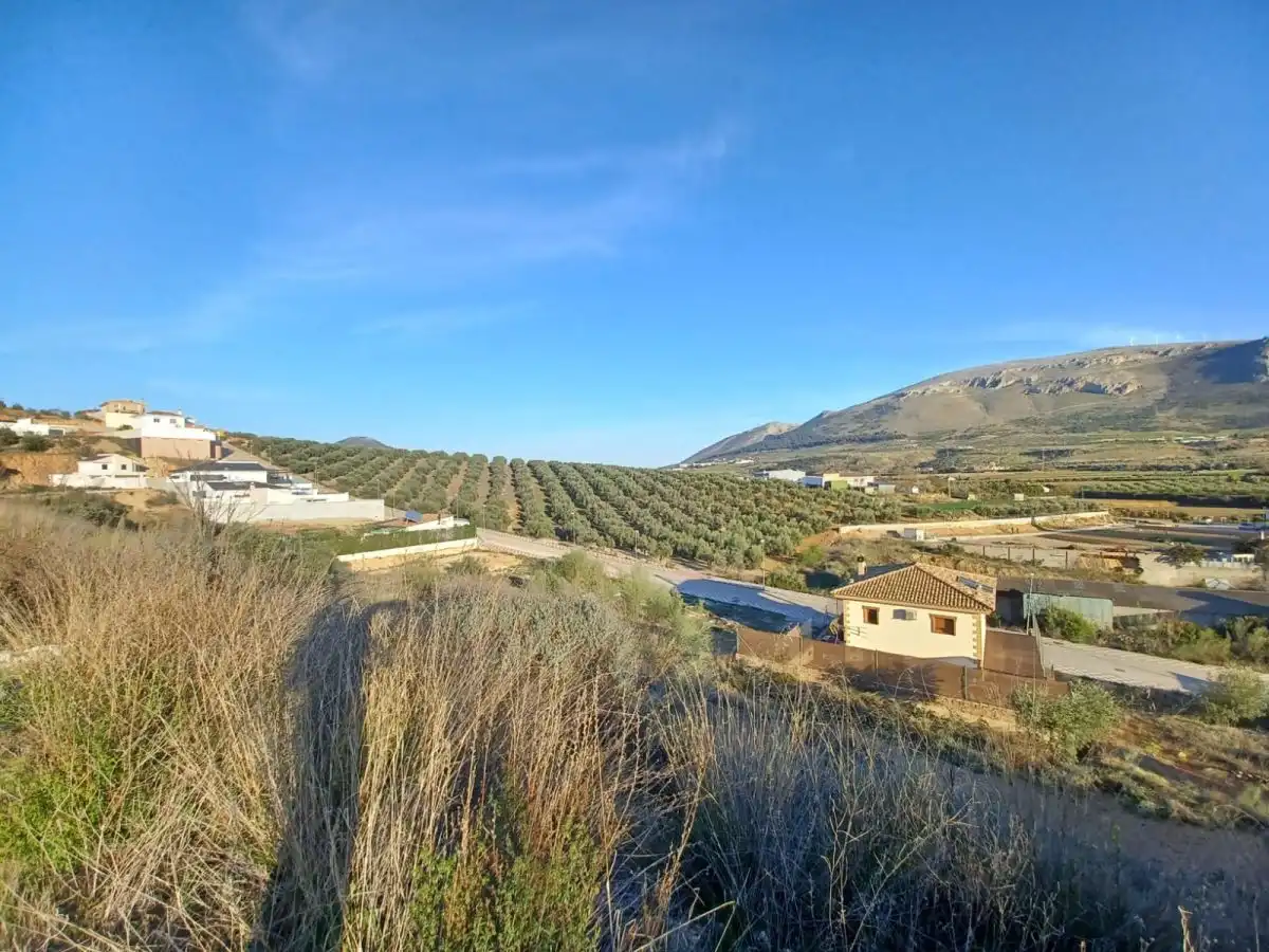 Terrenys i solars en venda a Loja