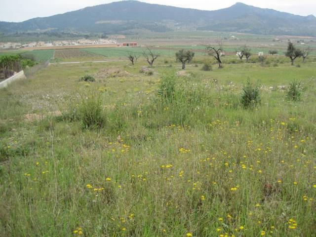 Terreno en Venta en Hondón de los Frailes