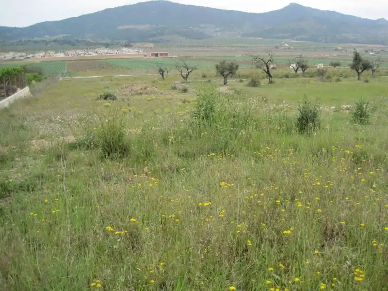 Terreno rústico en venta en Hondón de los Frailes