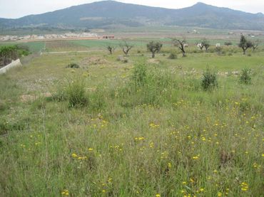Terreno rustico in vendita a Hondón de los Frailes
