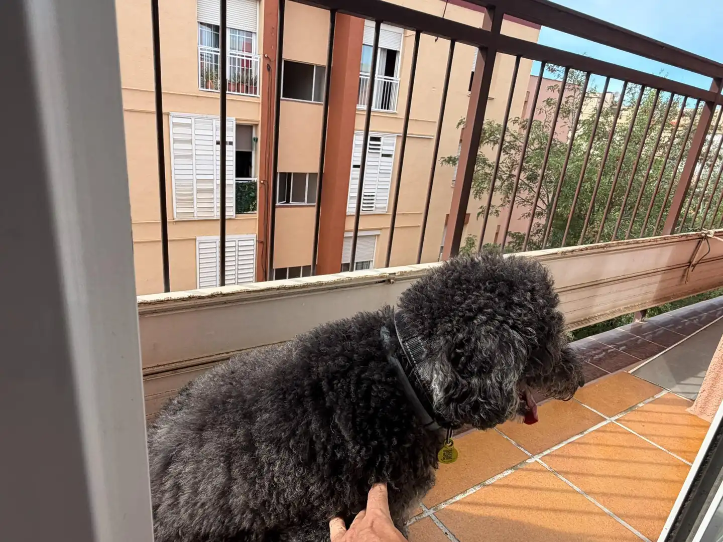 Appartement avec terrasse à vendre à Ca n'Oriac - Sector Nord, imagen 10