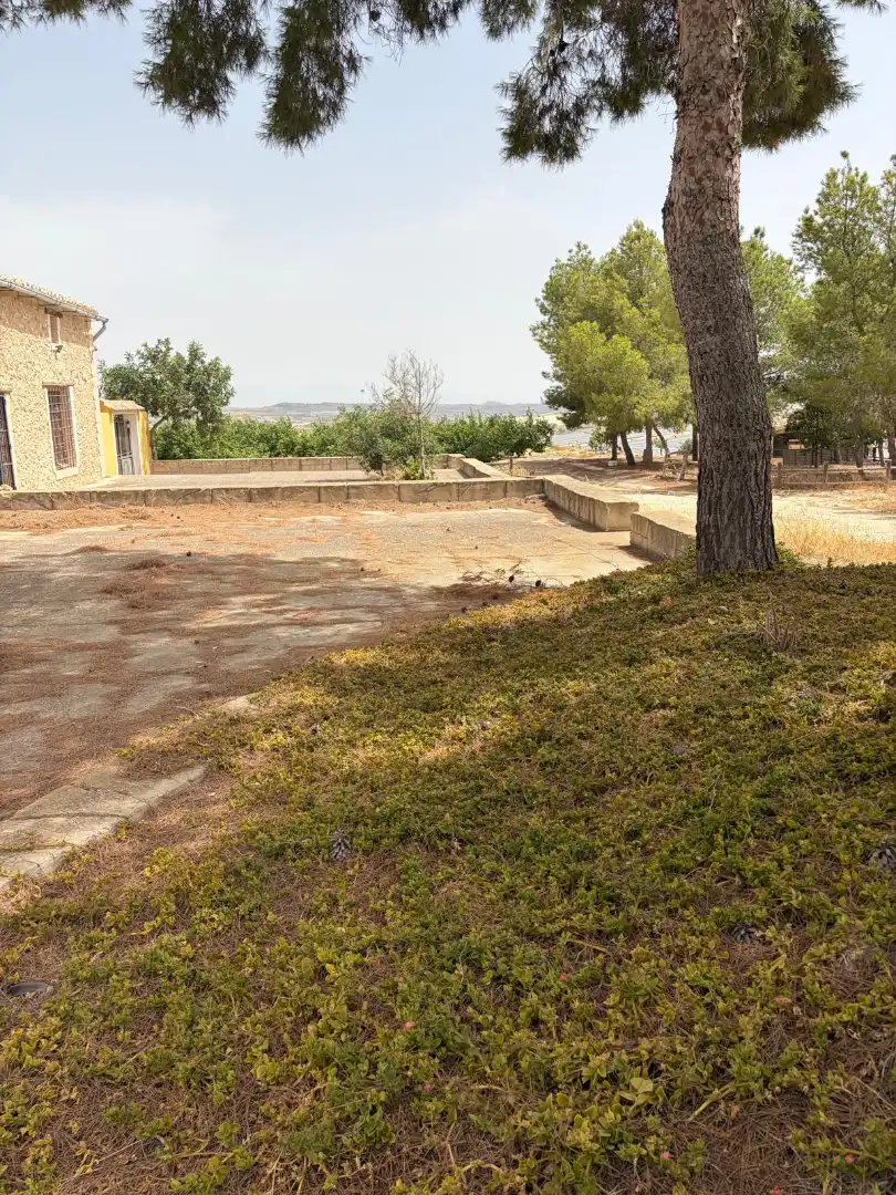 Lands and plots for sale in Mula, imagen 19