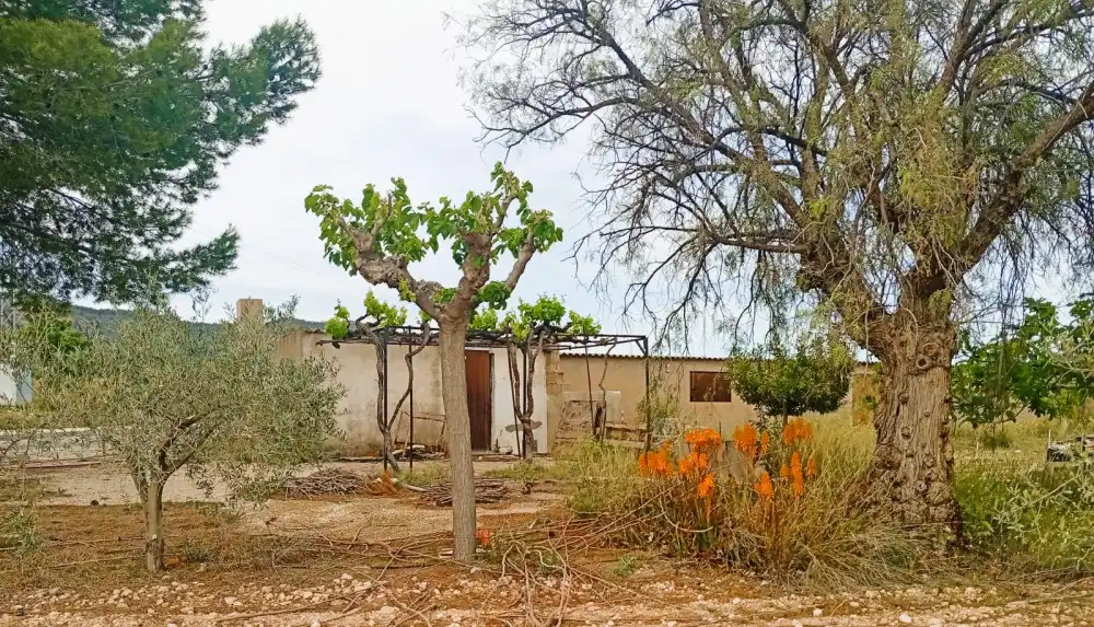 Flat for sale in Salinas