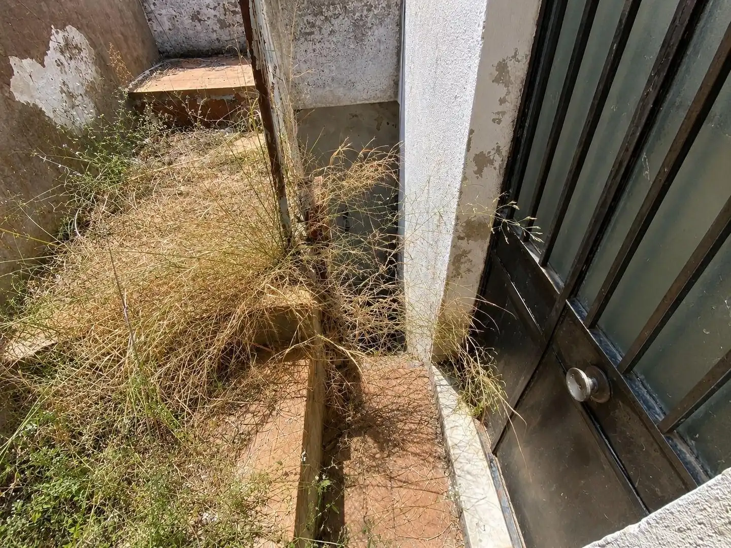 Terrassa de Finca rústica en venda en Alcalá de los Gazules amb Terrassa