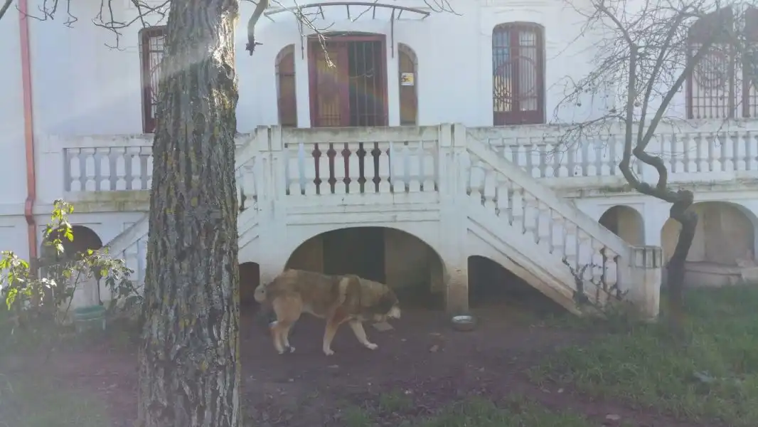 Vista exterior de Finca rústica en venta en Ponferrada con Calefacción, Jardín privado y Terraza