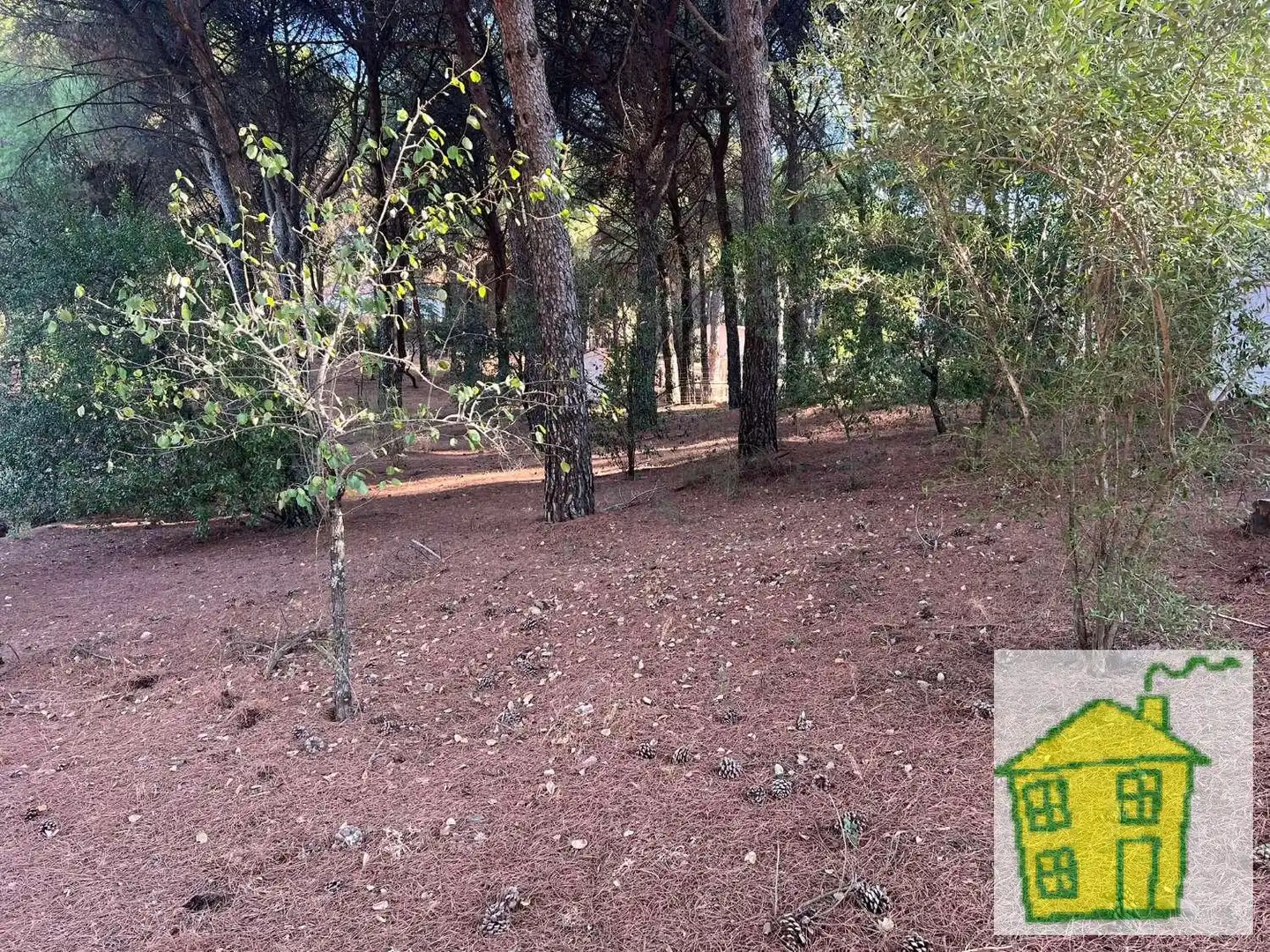 Country house with pool for sale in Andújar, imagen 18