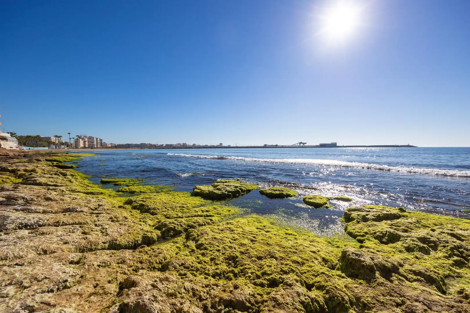 Vista exterior de Planta baja en venta en Torrevieja con Aire acondicionado, Terraza y Amueblado