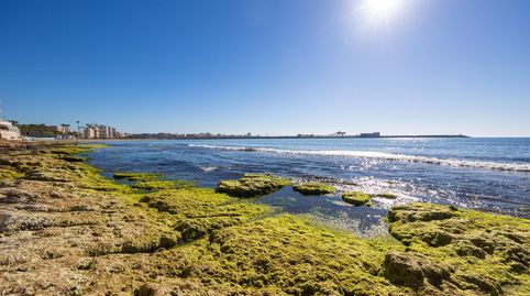 Foto 3 de Planta baja en venta en Playa de los Náufragos, Torrevieja