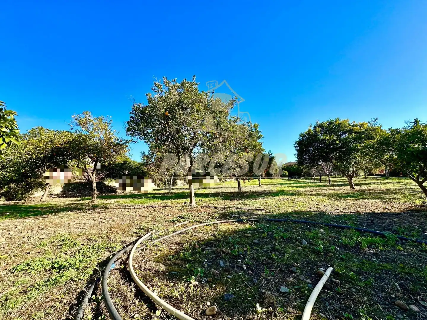 Terreny residencial en venda a Periurbano Oeste - Sierra, imagen 4