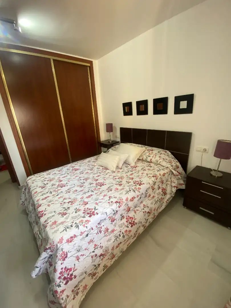 Bedroom of Apartments for rent in Málaga  with Air Conditioner, Terrace and Furnished