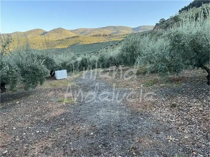 Terreni e lotti in vendita a Alcaudete, imagen 12