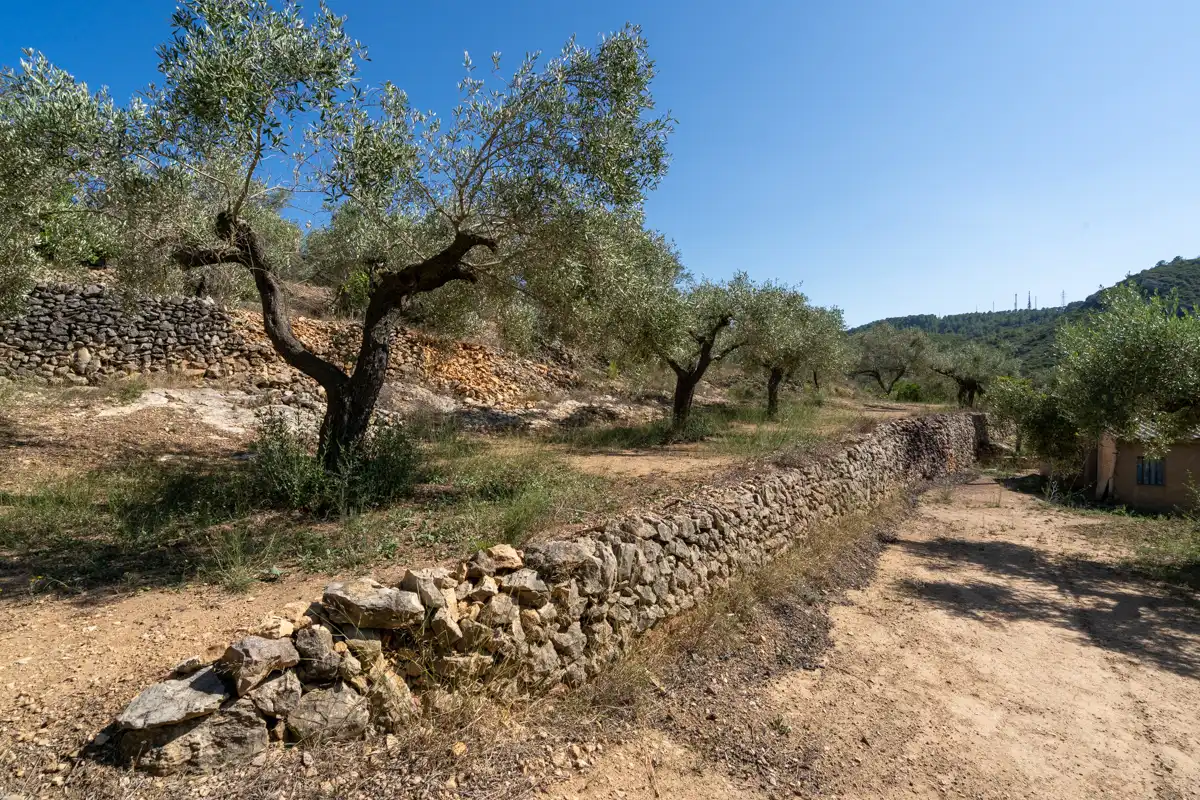 Finca rústica en venda en Tortosa amb Terrassa