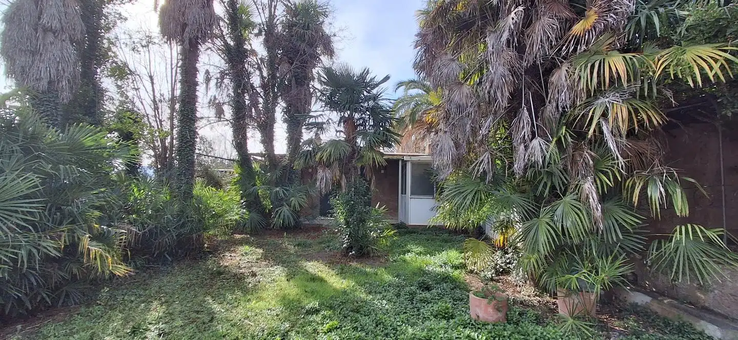 Jardín de Casa o chalet en venta en Novallas con Jardín privado