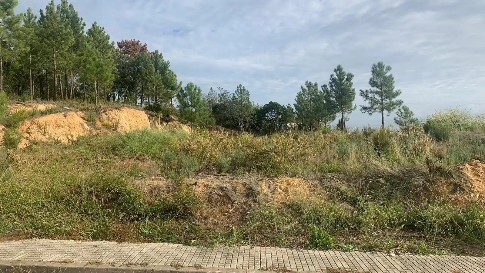 Terreny residencial en venda a Calle Sauce 25