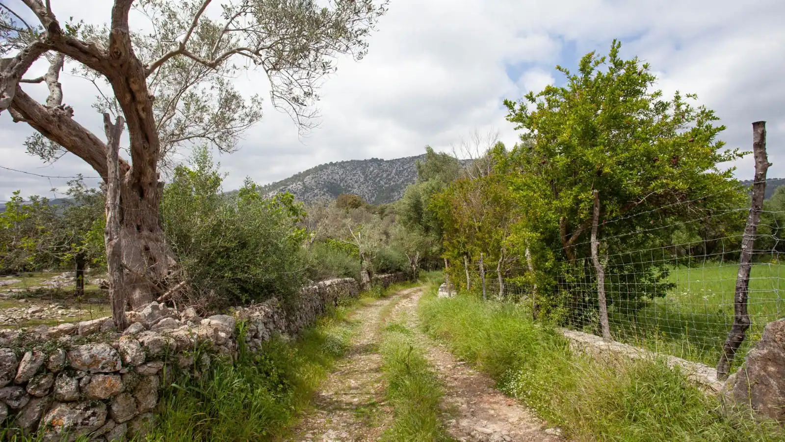Casa rústica amb jardí en venda a Pollença Poble, imagen 26