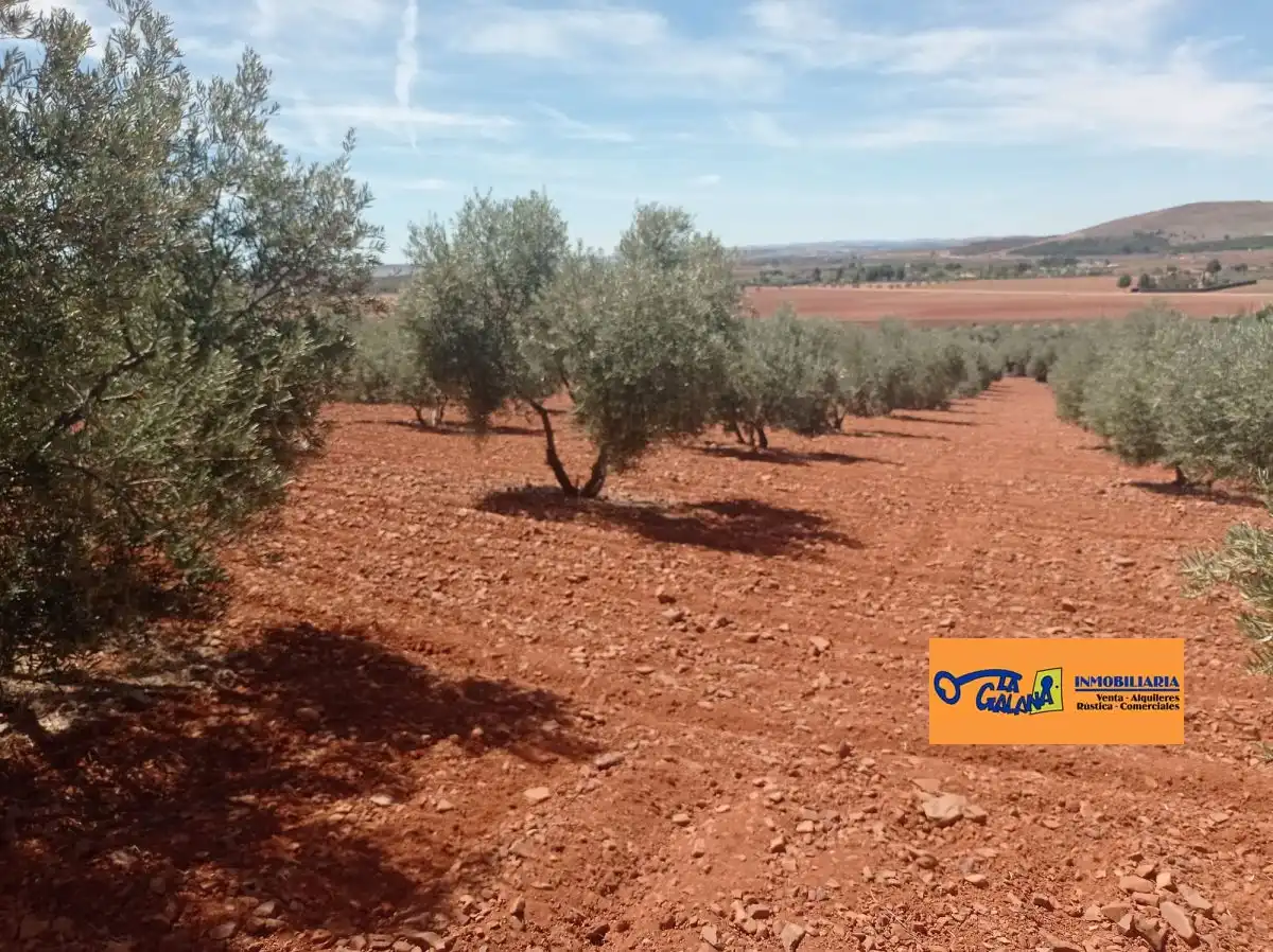 Casa rústica en venda a Valdepeñas, imagen 5