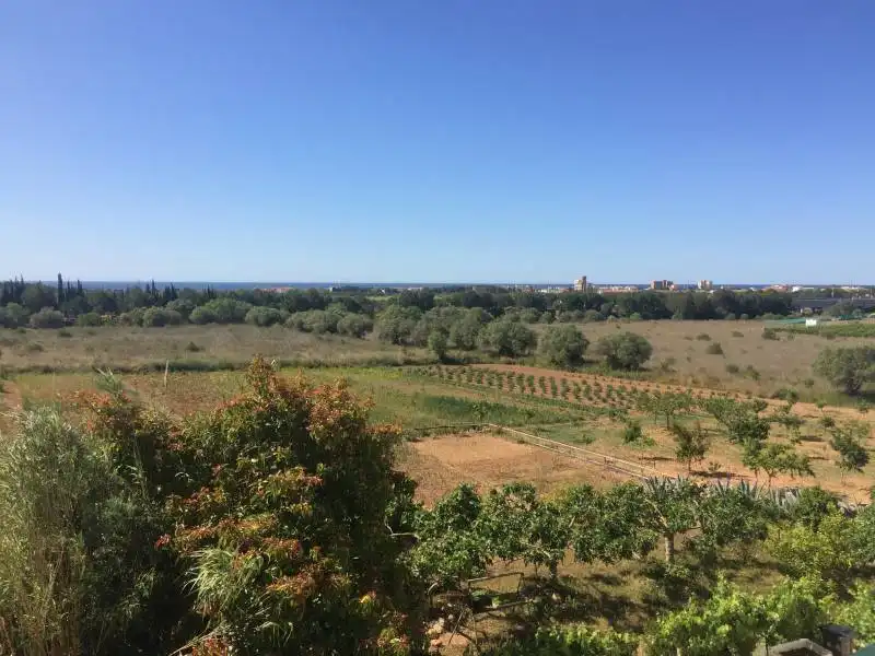 Country homes for sale in El Tancat - Mas d'en Gual