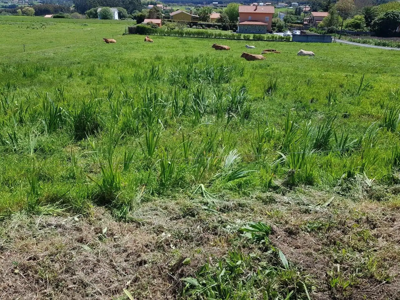 Terrenys i solars en venda a Lugar Montefaro, imagen 6