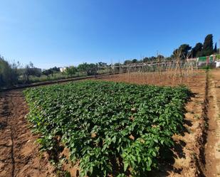 Land for sale in Vilanova i la Geltrú