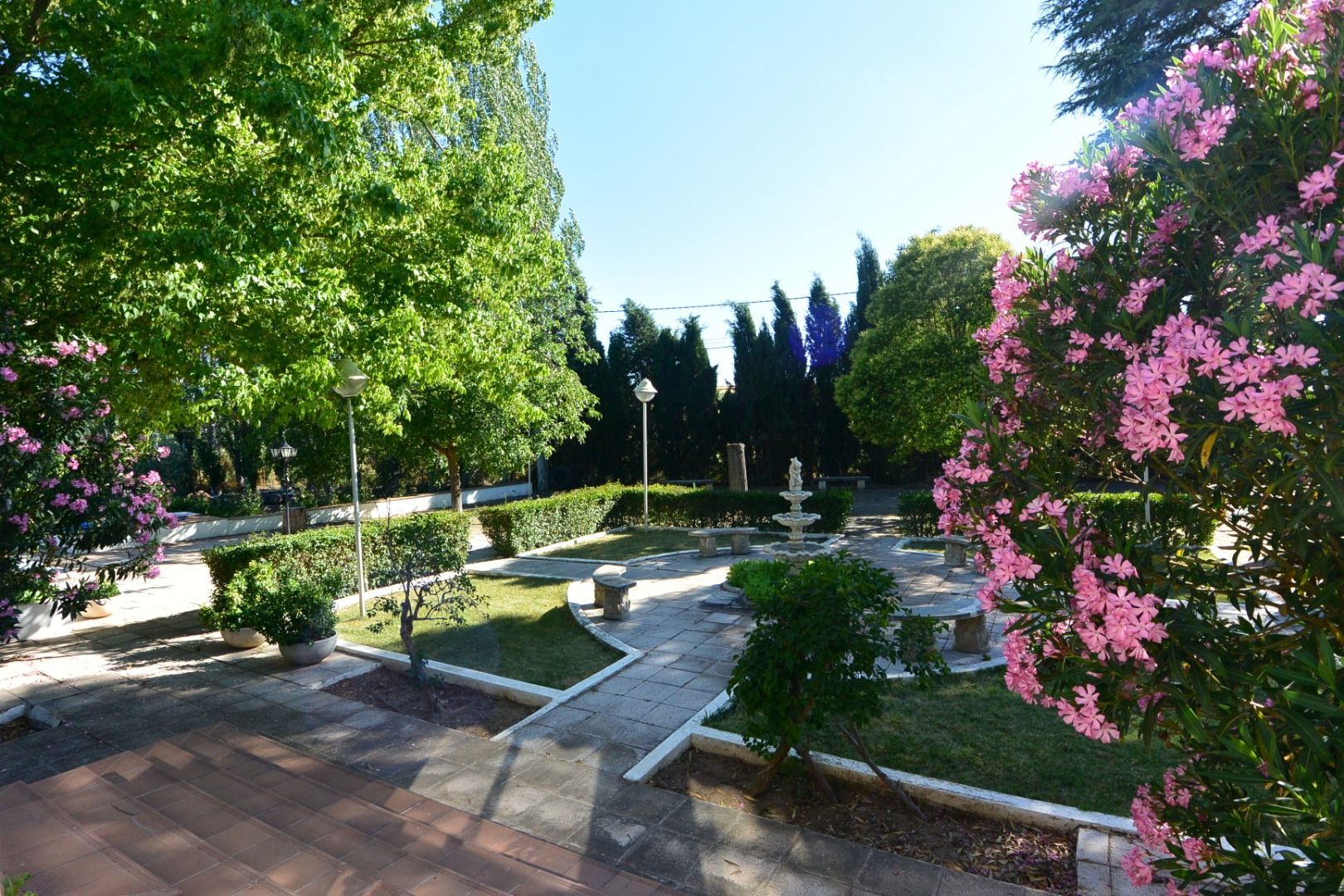 Jardí de Casa o xalet en venda en Alcolea de Calatrava amb Aire condicionat, Jardí privat i Terrassa