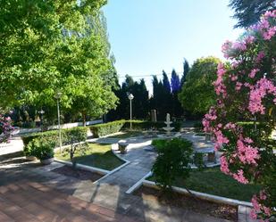 Jardí de Casa o xalet en venda en Alcolea de Calatrava amb Aire condicionat, Terrassa i Piscina