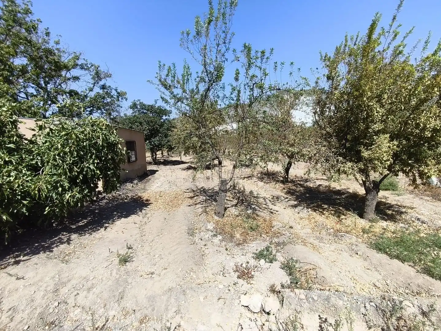 Rural land for sale in 2C55+9GC Cozvijar 0, imagen 7