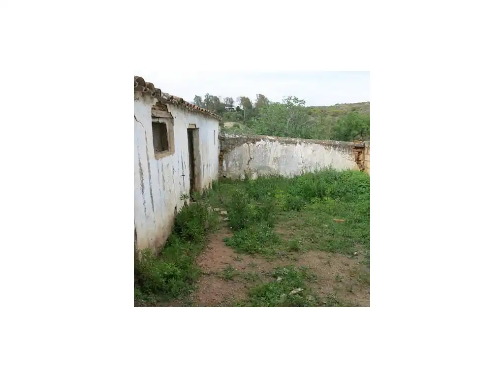 Finca rústica en venta en Estepona