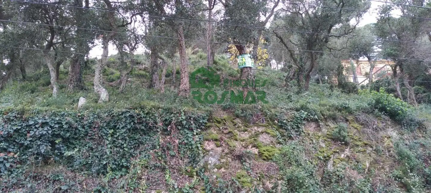 Terrenos y solares en venta en Serra Brava, imagen 3