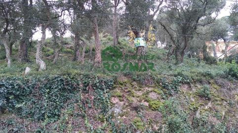 TERRENO EDIFICABLE DE 1.405 M EN SERRA BRAVA  LLORET DE MAR, imatge 3
