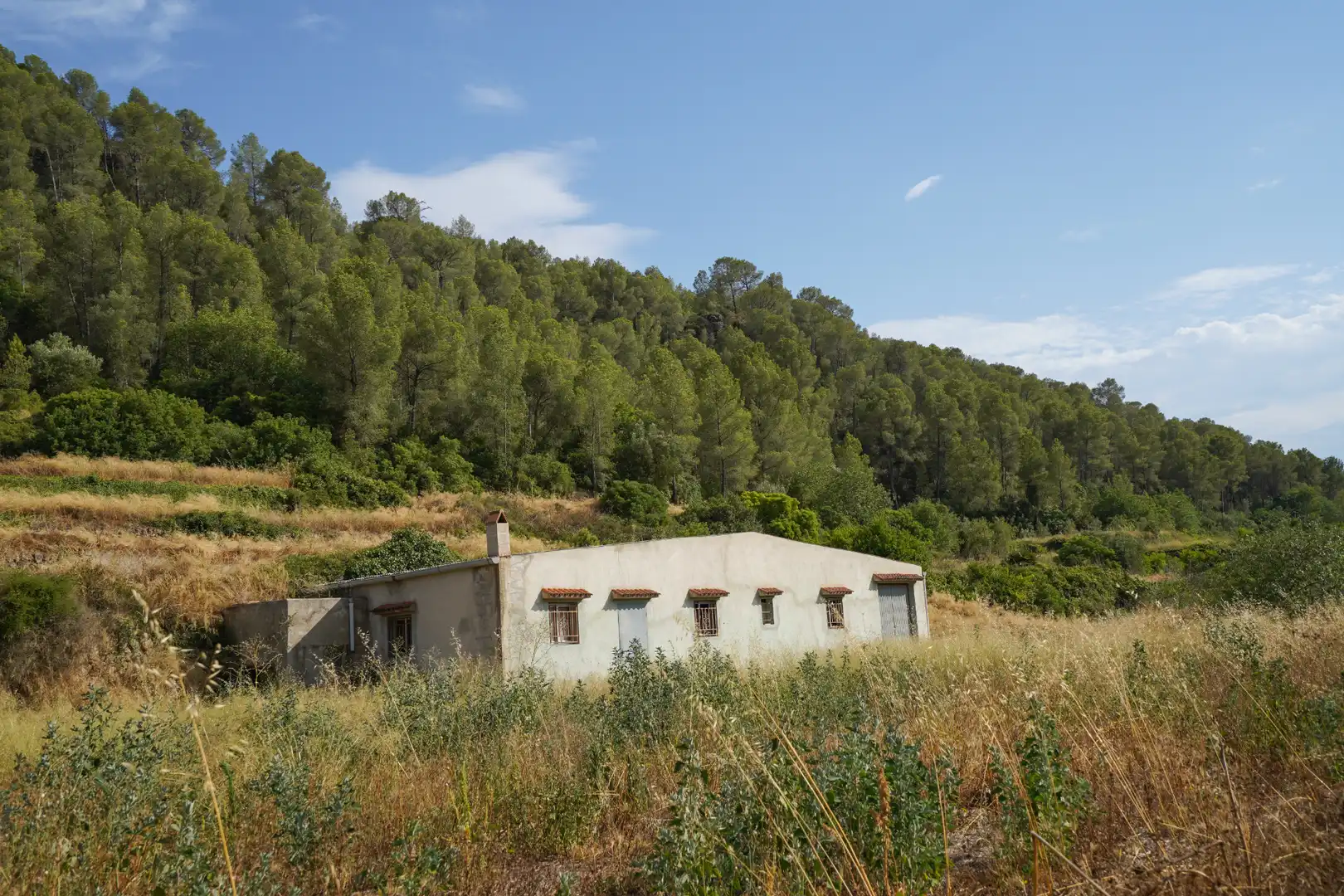 Terrain rustique à vendre à Benifallet, imagen 37