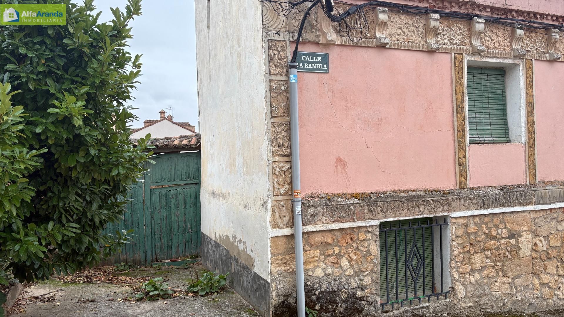 Vista exterior de Finca rústica en venda en Aranda de Duero amb Jardí privat