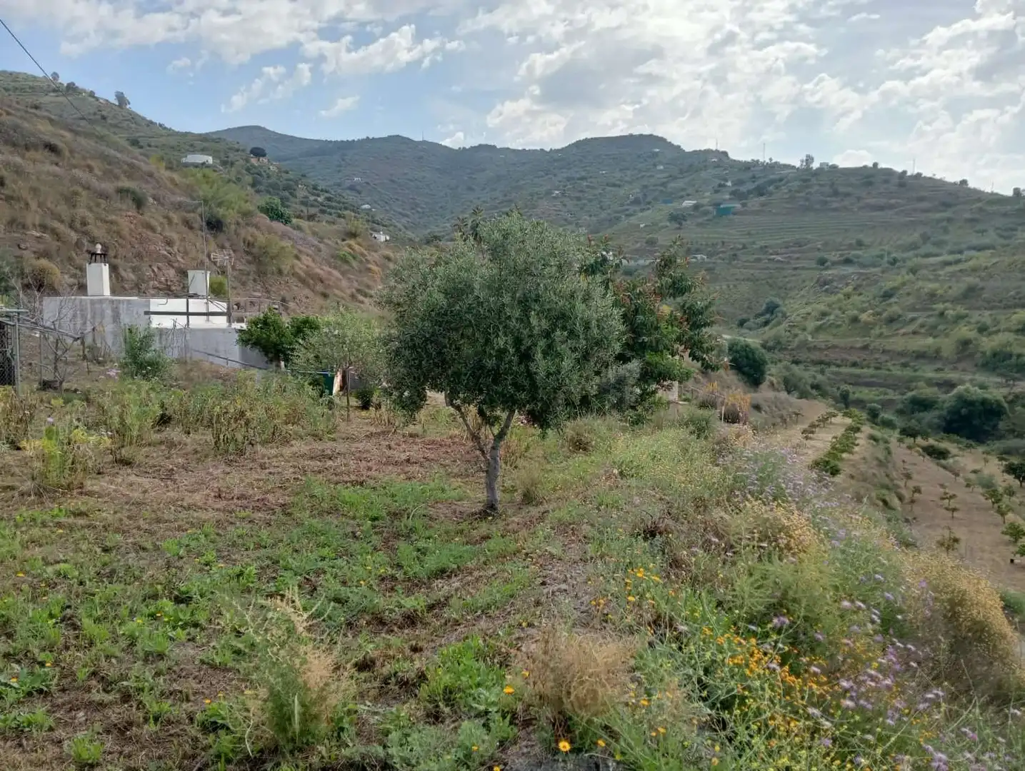 Casa rústica en venda a Vélez-Málaga ciudad