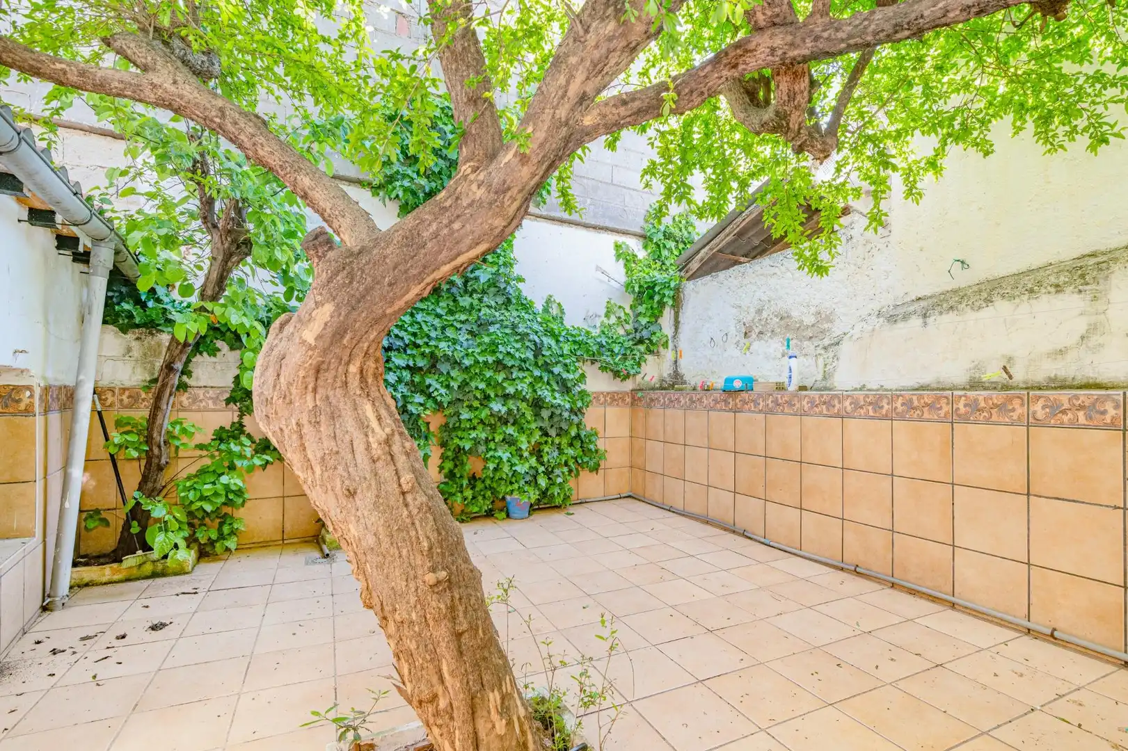 Terraza de Casa o chalet en venta en Cúllar Vega