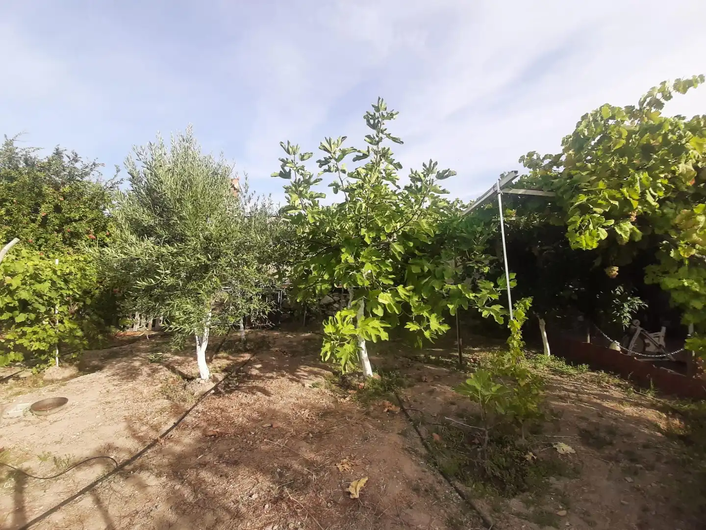 Casa o chalet en venta en Torre de Santa María con Terraza