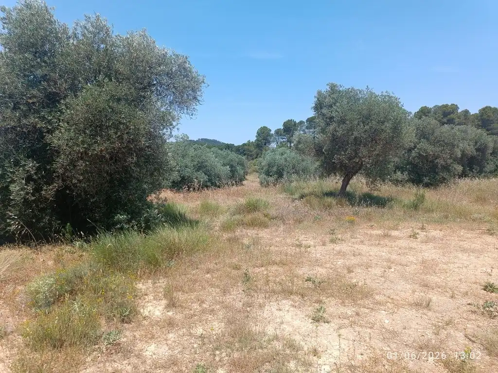 Rural land for sale in N/A, imagen 6