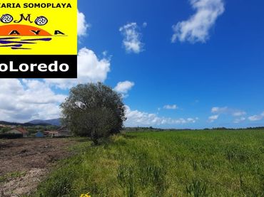 Lands and plots for sale in Ribamontán al Monte