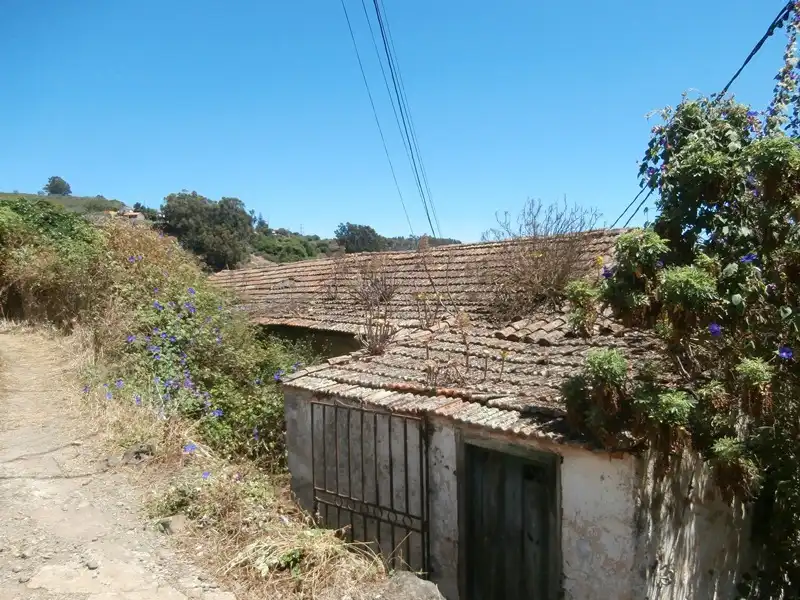 Vista exterior de Finca rústica en venta en Moya (Las Palmas)