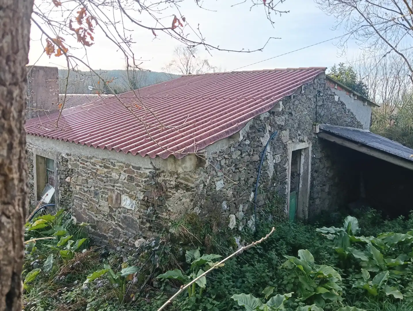Vista exterior de Casa adosada en venta en Cesuras con Jardín privado y Trastero