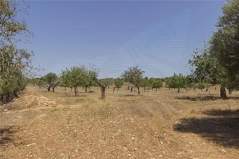 Country homes for sale in Manacor  with Private garden and Terrace
