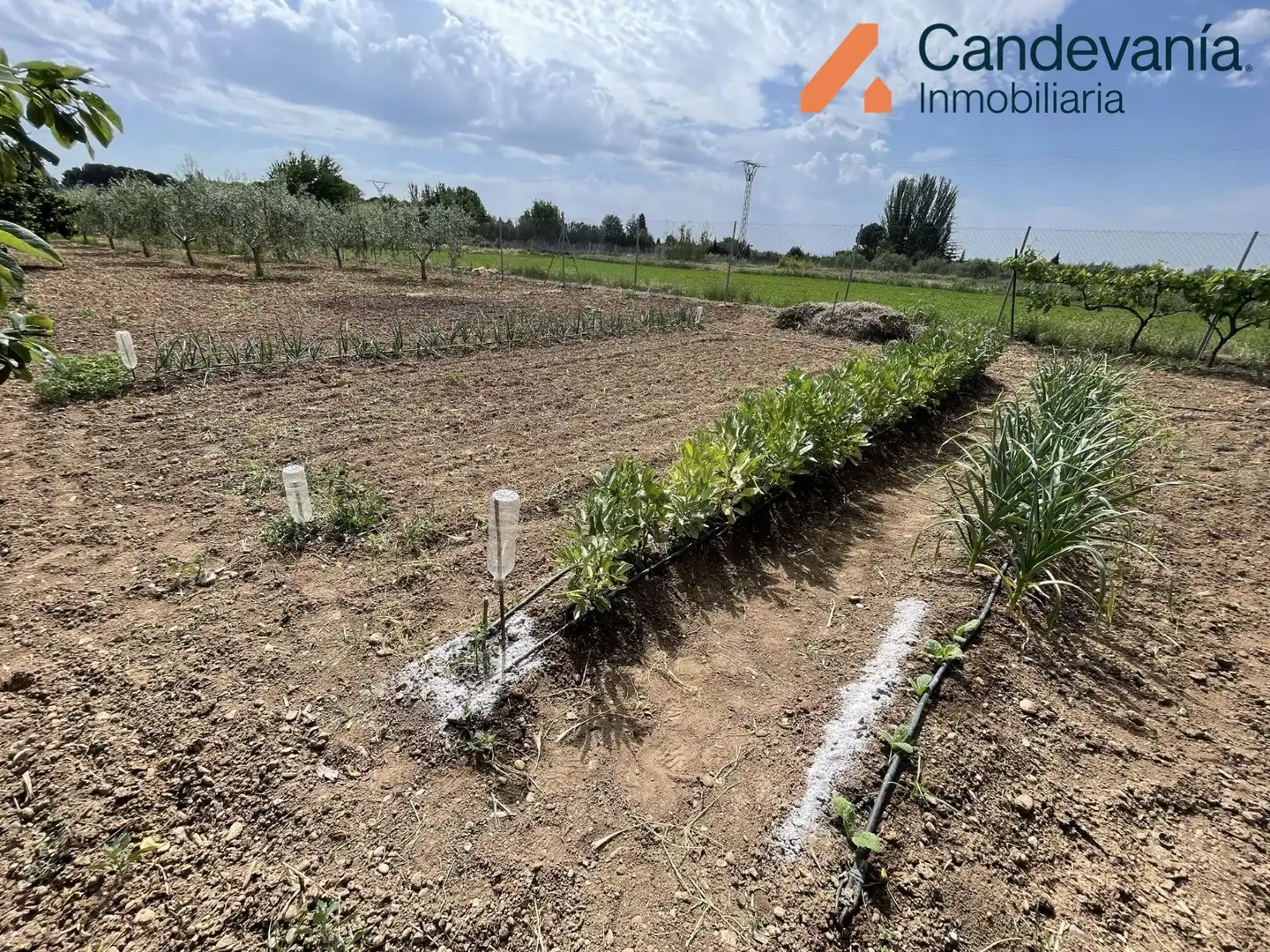 Land for sale in Gurrea de Gállego