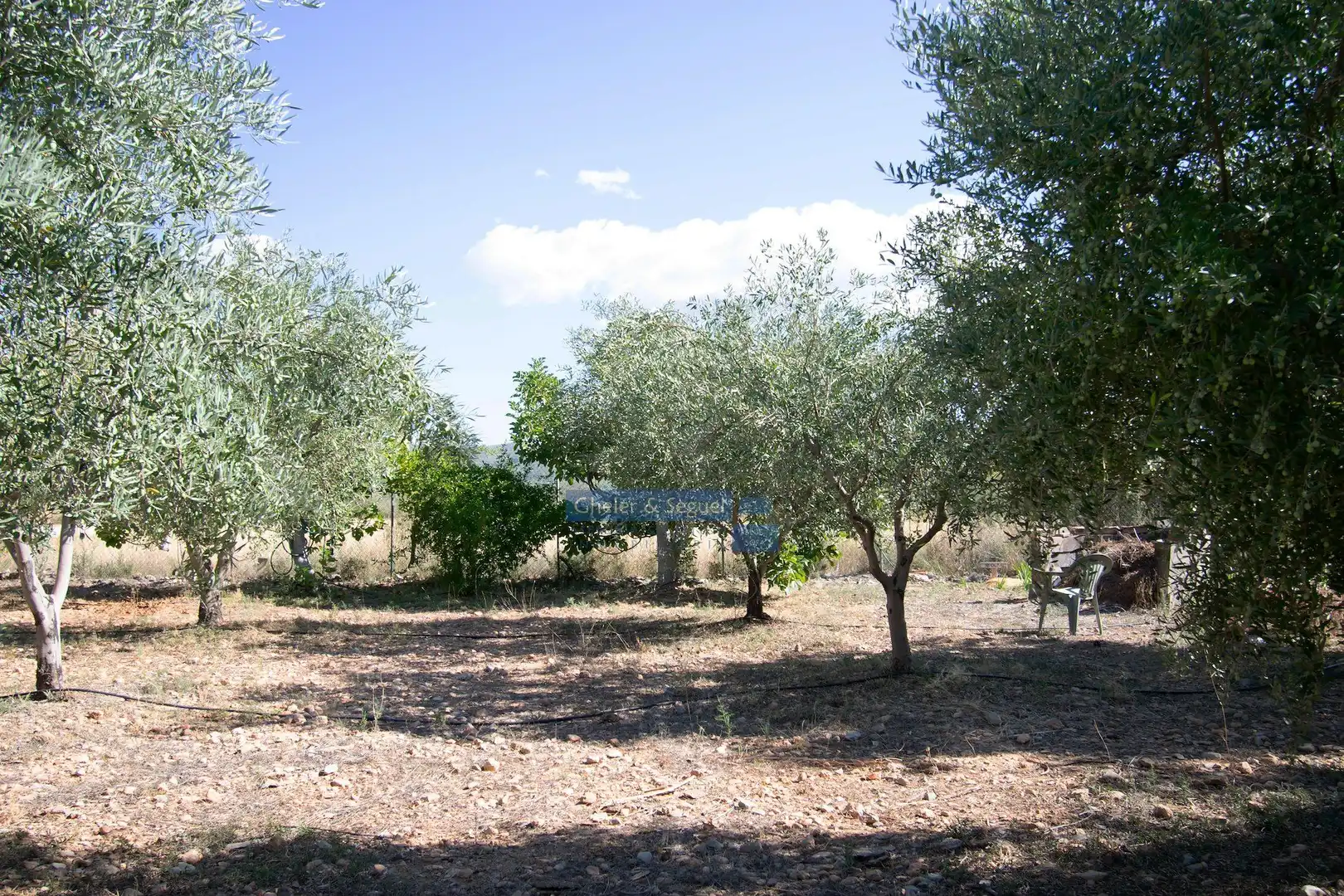 Finca rústica en venda en Llíria