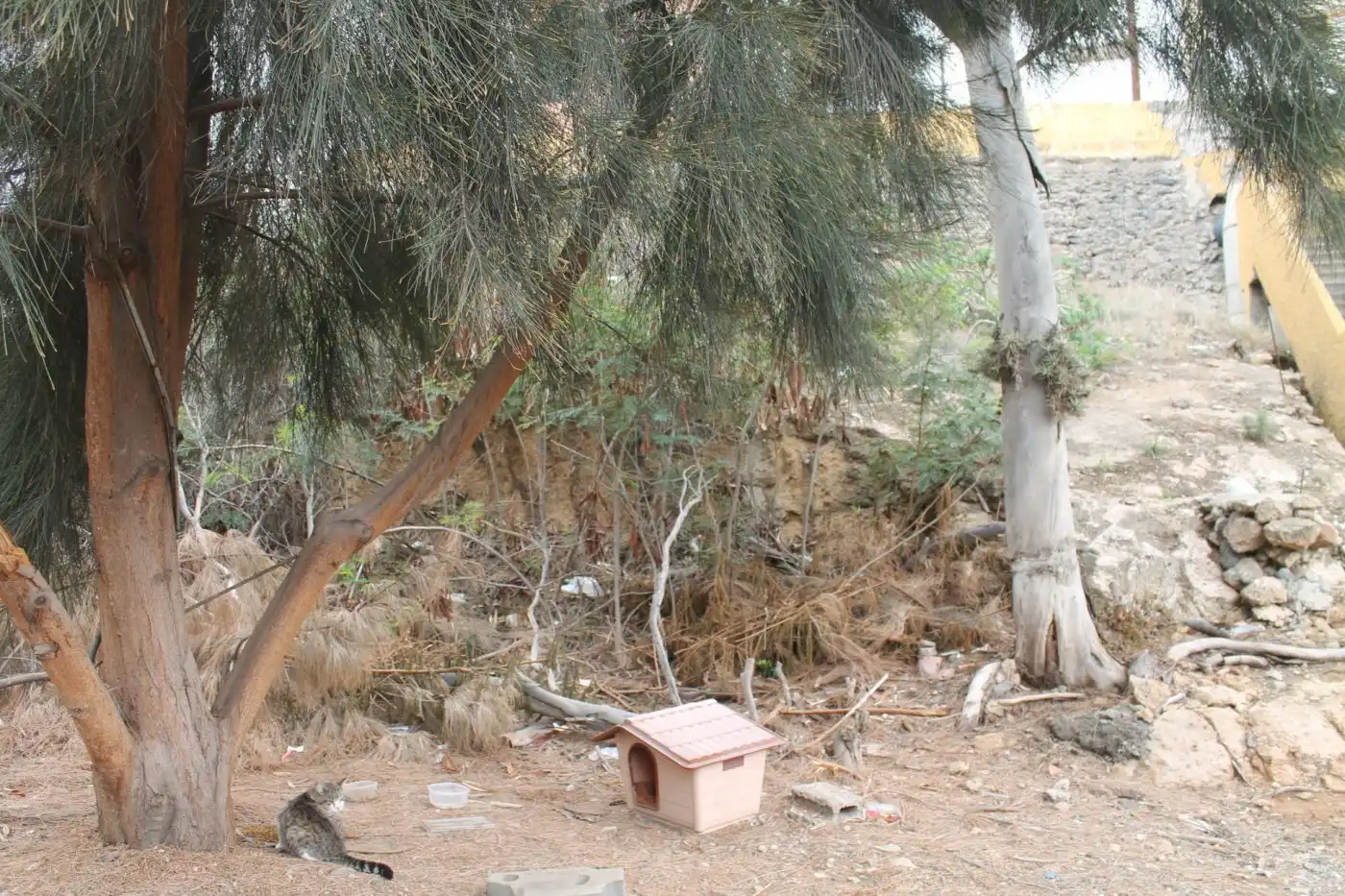 Garden of Residential for sale in Telde