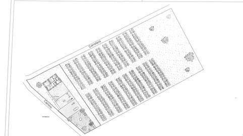 Foto 4 de Finca rústica en venta en Dolores, Alicante