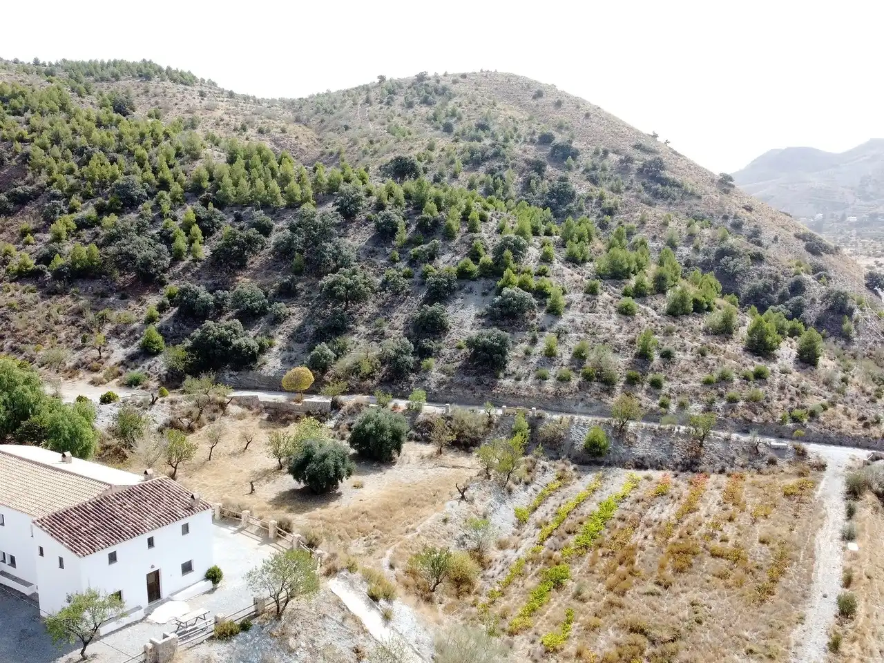 Casa rústica amb piscina en venda a Taberno, imagen 28