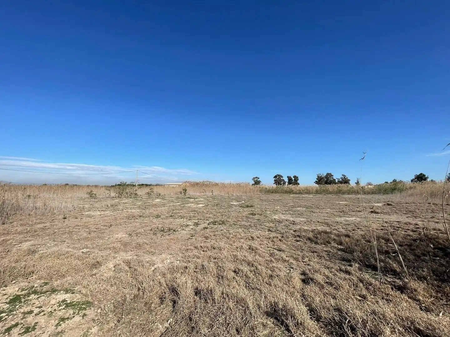 Terrain rustique à vendre à Algorós - El Derramador