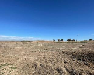 Land for sale in Elche / Elx