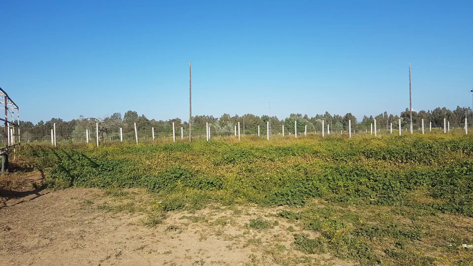 Terreni e lotti in vendita a Sanlúcar la Mayor, imagen 23