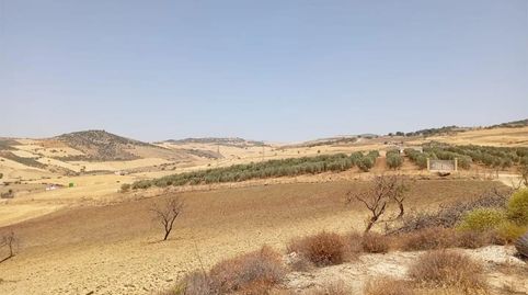 Foto 3 de Finca rústica en venda a Calle Infante Don Fernando, 1, Casco Histórico, Antequera